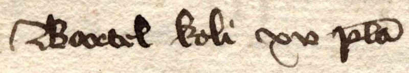 Datei:A012v-17.jpg